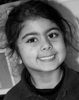1620262-3